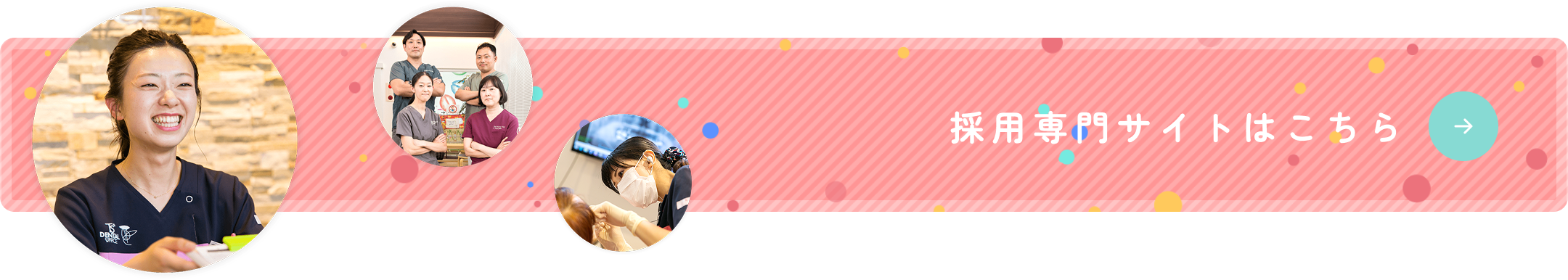 採用専門サイトはこちら